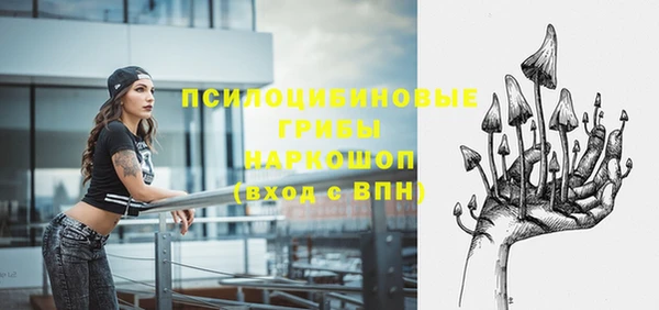дурь Богородск