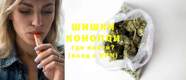 прущие грибы Беломорск