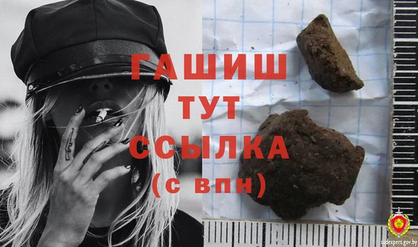 прущие грибы Беломорск