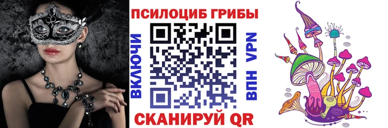 Псилоцибиновые грибы прущие грибы Мезень